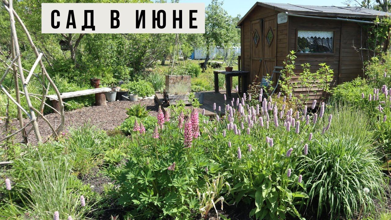 Прекрасный сад в июне / Природный стиль смотреть онлайн
