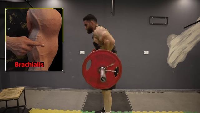 14 Best Workout To Get Big And Perfect Arms смотреть онлайн