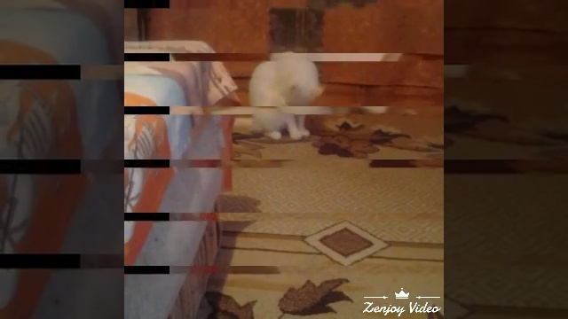 Фото Лили #2 смотреть онлайн