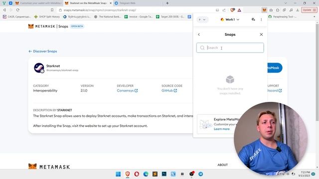 Metamask Snaps что это такое, как пользоваться и почему это круто смотреть онлайн