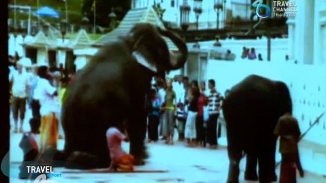 TRAVEL REPORT: The Southern Gate Way to Sri Lanka-Mattala, Intercontinental Bkk смотреть онлайн