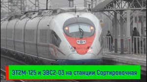 ЭТ2М-125, ЭВС2-03 «Сапсан» на платформе Сортировочная | ET2M-125 and EVS2-03 «Sapsan»
