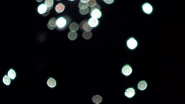 55-летие Обнинска. Юбилейный салют смотреть онлайн