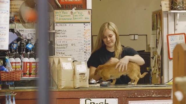 Real Pet Food Co смотреть онлайн