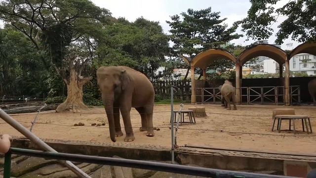 thảo cầm viên zoo смотреть онлайн
