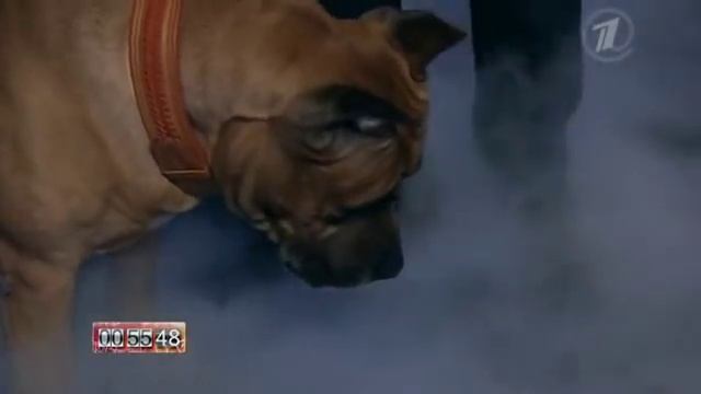 Олит Тевлянаут МИНУТА СЛАВЫ ШАГАЕТ ПО СТРАНЕ смотреть онлайн