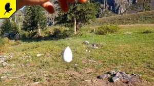 Сплетня на хариуса | На что клюёт хариус?