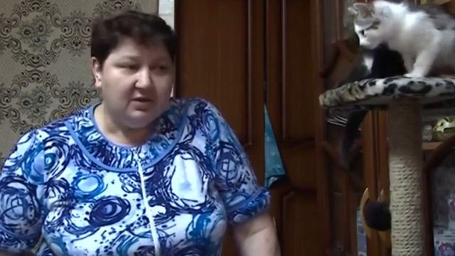 49517562620 Кошкин Дом. смотреть онлайн