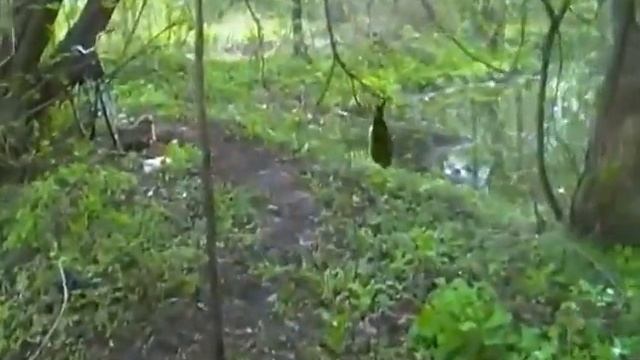 Ловля Соловья на сеть пролетку(паутину) смотреть онлайн