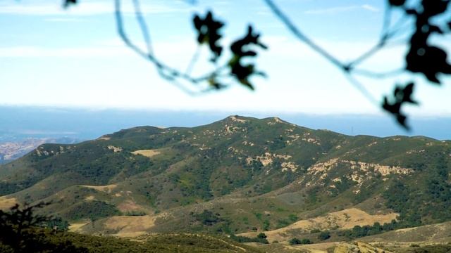 Главная причина почему мне нравится жить в Калифорнии смотреть онлайн