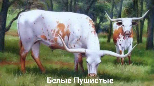 КОРОВА?/Копытные/Животные/Интересные факты смотреть онлайн