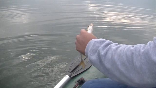 Отличная рыбалка, отдых озеро Большое 2016 г. Красноярский край...(Неизданное часть№2) смотреть онлайн