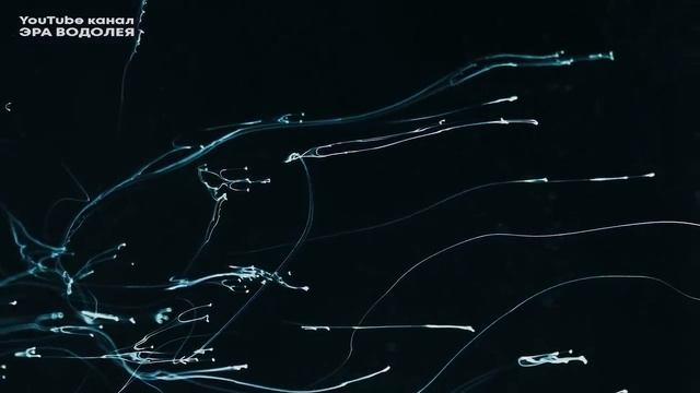 Ваша работа важна для планеты сейчас смотреть онлайн