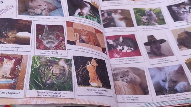 Моя коллекция журналов смотреть онлайн