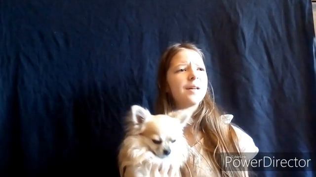 ПРАВИЛА ПРИЛИЧИЯ СОБАЧНИКА +истории с людьми