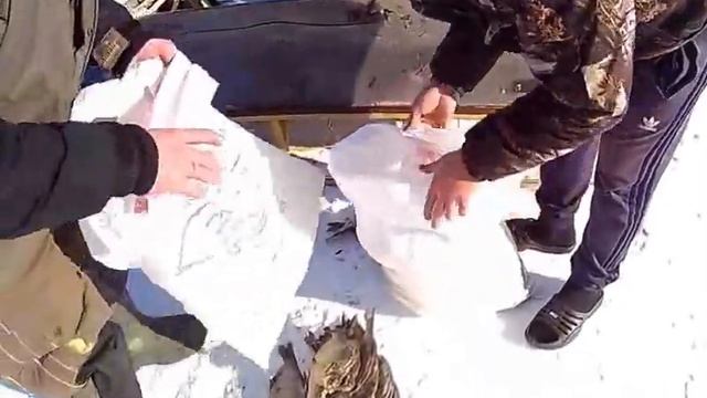 ХОВО на бочине, разочаровался в УАЗе, засел на Ниве , троллю Антоху. смотреть онлайн