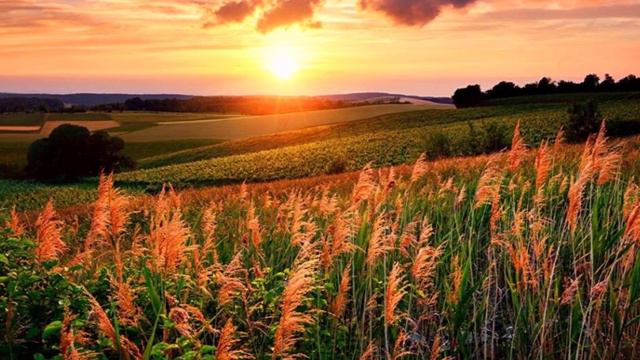 Александр Блок - Летний вечер