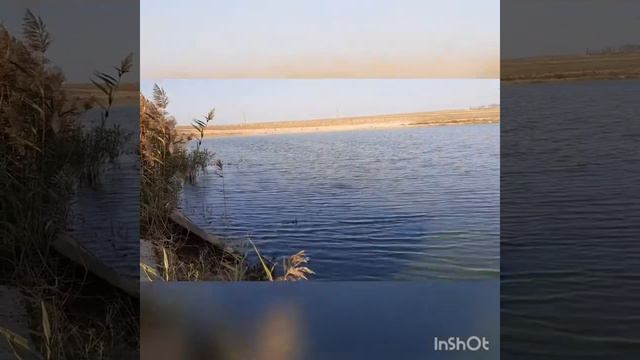 Ловля крупного карася на поплывок в дагестане смотреть онлайн