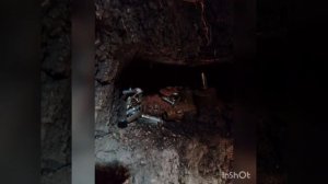 252 пол людоеды