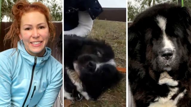 маска вегас смотреть онлайн