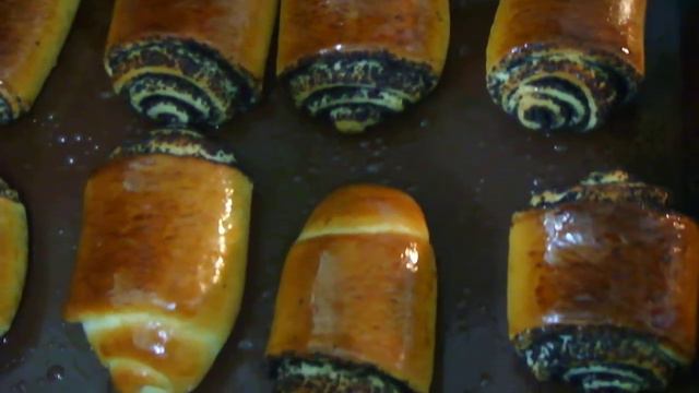 Зеленые друзья: забота о растениях и их благотворительность