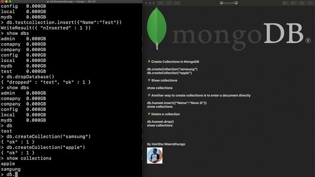 Mongo DB in SInhala 3 - Collections CREATE and DROP смотреть онлайн