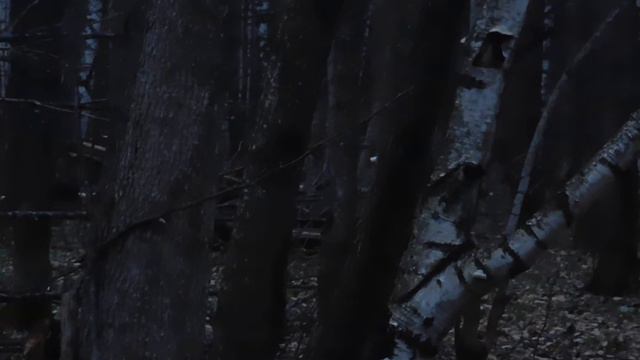 Работа по лосю. Норка, Белка, Пальма. Часть 3 смотреть онлайн