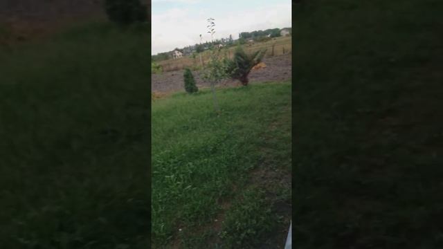 Штампы для бетона