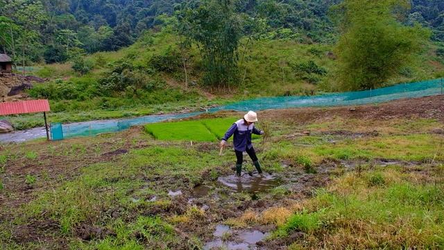 Full video: My daily life on the big farm, farming and raising animals | Live outside with nature смотреть онлайн