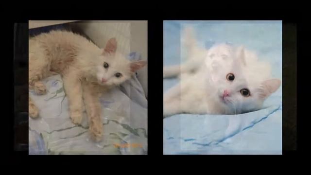 Давайте будем человечными! смотреть онлайн