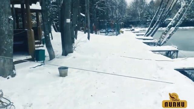 Новости Рыболовного клуба ФИШКА ЛИПКИ 18.11.22! Ловим форель! смотреть онлайн