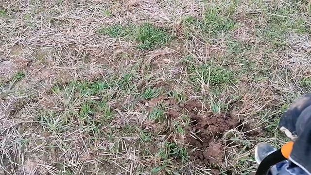 В ПОИСКАХ ОСТАТКА КЛАДА смотреть онлайн