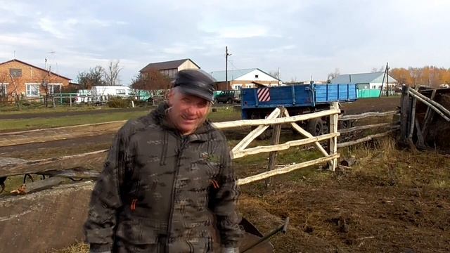 Какой корм лучше ест молодняк КРС сено или солому уБажениты смотреть онлайн