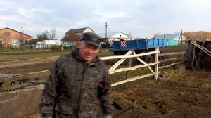 Какой корм лучше ест молодняк КРС сено или солому уБажениты