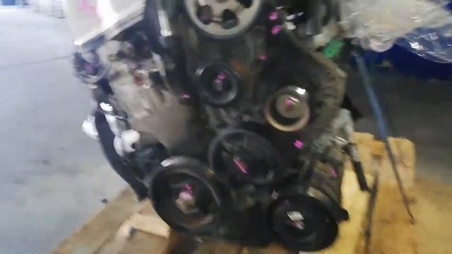 ?Поставка контрактного двигателя Honda K24A для Honda Элементвигатель с Японии без пробега по Росси смотреть онлайн