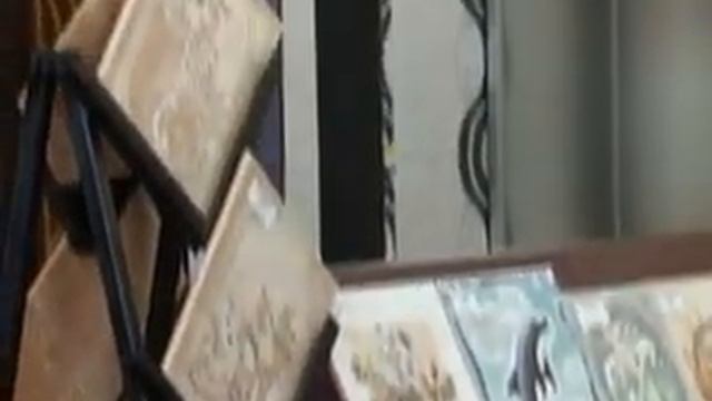 BICOMPLEX смотреть онлайн