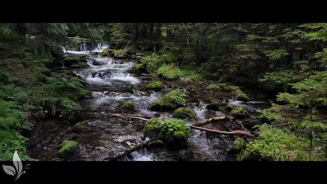 ВОССТАНОВЛЕНИЕ НЕРВНОЙ СИСТЕМЫ 🌿 Нежная Музыка, Успокаивает Нервную Систему И Радует Душу #7 смотреть онлайн