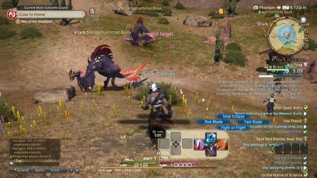 FINAL FANTASY 14 ONLINE / Typical MMO - Nothing Special / Final Fantasy 14 Online Gameplay