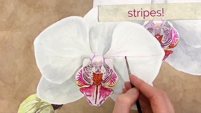 How to paint a realistic stripy patterned orchid in watercolor смотреть онлайн