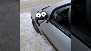 JELLY MIX CHALLENGE || TikTok Tricks, Funny Challenges By Clumsy Doodles - #Doodland 1004