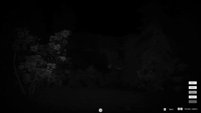 Обзор новой игры Rake