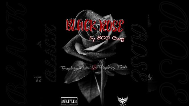 Black Rose x 800 Gang (Official Audio) смотреть онлайн