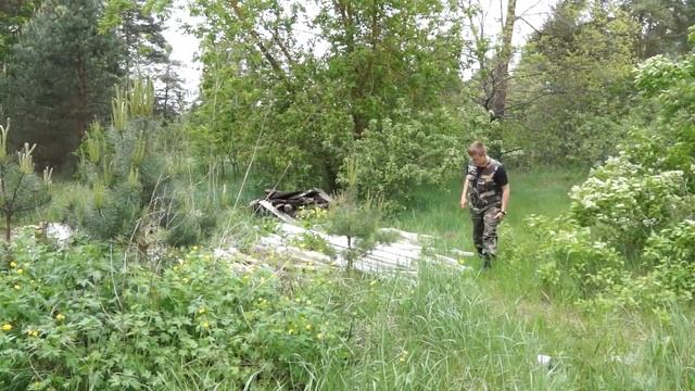 День охраны окружающей среды смотреть онлайн