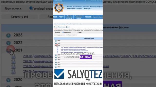 Почему при сдаче налоговой декларации доходах не надо пользоваться мобильными приложениями? смотреть онлайн