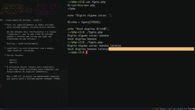 [PHP-CLI] #10 - Lendo a entrada padrão смотреть онлайн