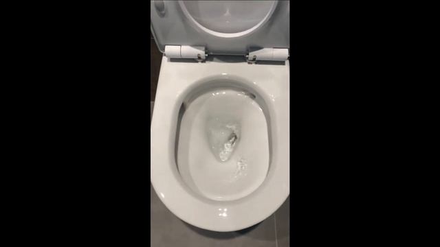 Подвесной унитаз TOTO SP из Японии смотреть онлайн