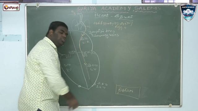 TNPSC, TET - BIOLOGY - CONDUCTION OF BLOOD IN HUMAN HEART - SURIYA ACADEMY, SALEM смотреть онлайн