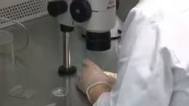 Перенос эмбрионов (клиника В.М. Здановского) смотреть онлайн