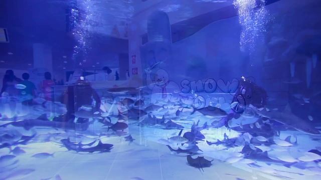 Antalya Aquarium Promotional Film смотреть онлайн