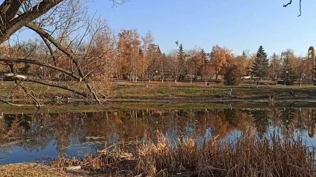 река Тихая сосна. Осень 2021 смотреть онлайн